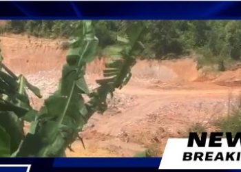 Diduga Sekretaris dari Salah Satu Partai  Dalang Dari Mafia Lahan Bukit Dangas