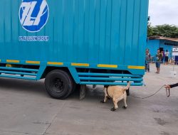 Anjing pelacak bea cukai Batam