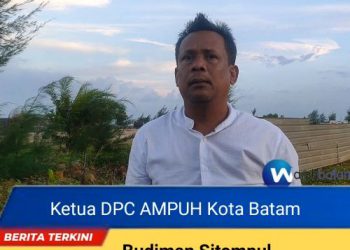Ampuh  Meminta Gakum dan KPK Audit Perijinan Reklamasi Golden Prawn