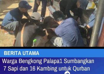 Warga Bengkong Palapa1 Sumbangkan 7 Sapi dan 16 Kambing Untuk Qurban