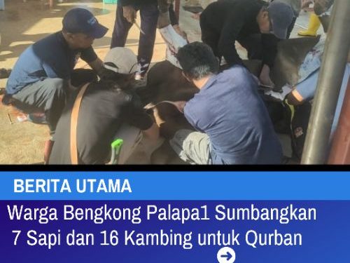 Warga Bengkong Palapa1 Sumbangkan 7 Sapi dan 16 Kambing Untuk Qurban