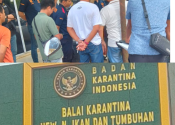 Jeritan Pengusaha Ekspedisi