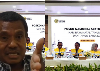 Apresiasi Kesiapan Listrik Nataru, Aktivis 98 Nilai PLN Batam Jaga Hak Dasar Masyarakat