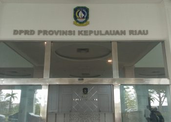 Asosiasi Jasa Angkutan Pickup Minta Solusi: Bea Cukai Batam Kekeh Terapkan Aturan