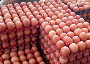 Lonjakan Harga Pangan Jelang Akhir Tahun: Cabai & Telur Meroket