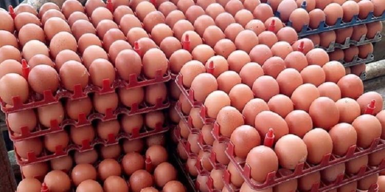 Lonjakan Harga Pangan Jelang Akhir Tahun: Cabai & Telur Meroket