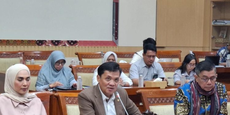 DPR: Pengkritik tak bisa ditindak sembarangan karena KUHP-KUHAP baru