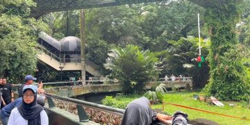 Ragunan: Atraksi Makan Satwa Sambut Tahun Baru