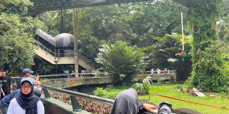 Ragunan: Atraksi Makan Satwa Sambut Tahun Baru