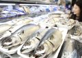 Mackerel Mania: Prices Top 10,000 Won