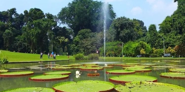 10 Wisata Alam Bogor: Liburan Tahun Baru 2026 Menyegarkan Jiwa