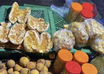 Populer Kalteng: Proyek multiyears ruang terbuka hijau eks Disnakertrans, kuliner khas mandai