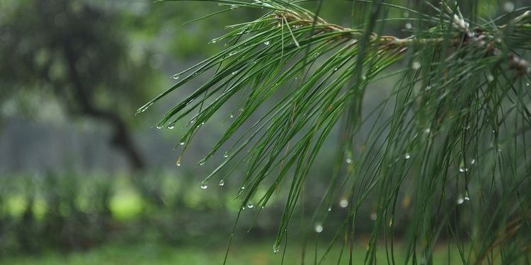 BMKG: Wilayah berpotensi hujan lebat dan angin kencang pada 4-5 Januari 2026