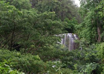 Pesona Curug Sidomoro, surga tersembunyi di perbukitan Sempor Kebumen
