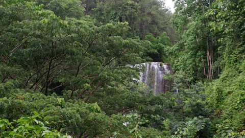 Pesona Curug Sidomoro, surga tersembunyi di perbukitan Sempor Kebumen