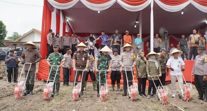 Jagung Batang Hari: Sejuta Hektare, Satu Desa