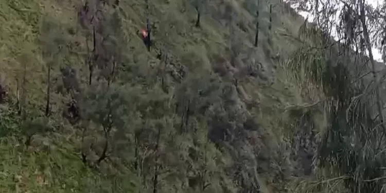 Tragedi ATR 42: Pramugari Florencia & Esther Terjatuh di Jurang 500 Meter