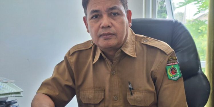 Paser: Bandara Mangkrak, Pemkab Tunggu Regulasi KPBU