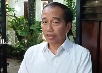 Afriansyah Noor: Pertemuan Wamenaker dengan Jokowi Bahas Ijazah dan Prabowo-Gibran