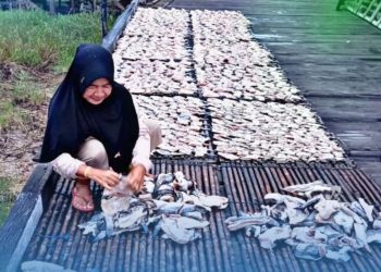 Dampak Langsung PNM untuk Perempuan Pesisir Kaltim