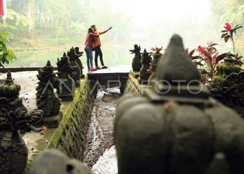 Yellow Caturra Banyuwangi: Buruan Dunia dari Lereng Raung