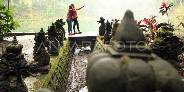Yellow Caturra Banyuwangi: Buruan Dunia dari Lereng Raung